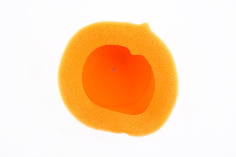 1096804