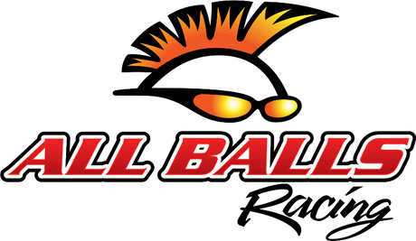 ALL BALLS Racing