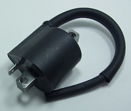 TOURM IGNITION COIL 209
