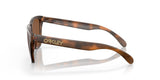 OAKLEY Frogskins Sonnenbrille in mattbraun mit braunen Gläsern, stilvolle Brille für Sonnenschutz und Mode.