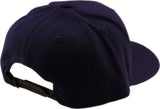 Troy Lee Designs Curved Snapback Badge Indigo Cap aus Freizeitbekleidung mit Markenlogo, bequemer Baseballkappe im blauen Design