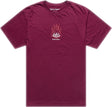 Troy Lee Designs Flame2 T-Shirt in Sangria, bequeme Freizeitbekleidung mit Flammenmuster und TROY LEE DESIGNS Logo.