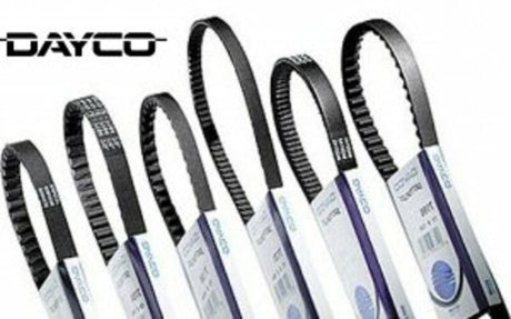 1156549