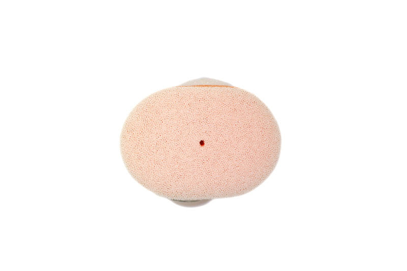 1096858